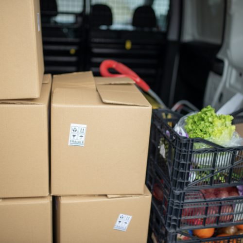 ForestChild Services.007