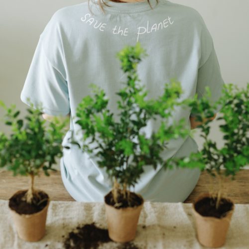 ForestChild Environment